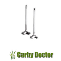 INTAKE & EXHAUST VALVES FOR HONDA G200 ENGINE