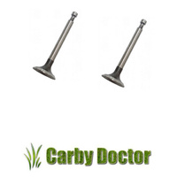 INTAKE VALVE & EXHAUST VALVE FOR ROBIN SUBARU ENGINES EY28 RGX3500 VALVES