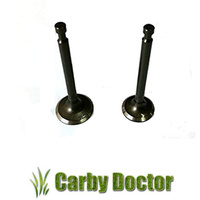 INTAKE VALVE & EXHAUST VALVE FOR ROBIN SUBARU ENGINES EX17 EX21 VALVES