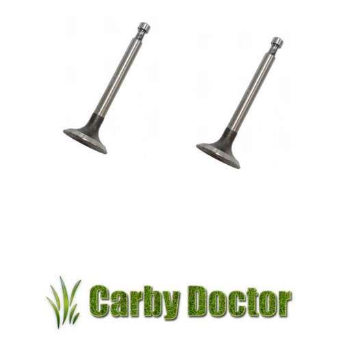 INTAKE VALVE & EXHAUST VALVE FOR ROBIN SUBARU ENGINES EY28 RGX3500 VALVES